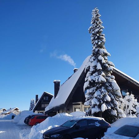 Ferienhaus-Schoenwald Im Herzen Des Schwarzwaldes 1Zimmer Wohnung Mit Terrasse App17 Exterior foto