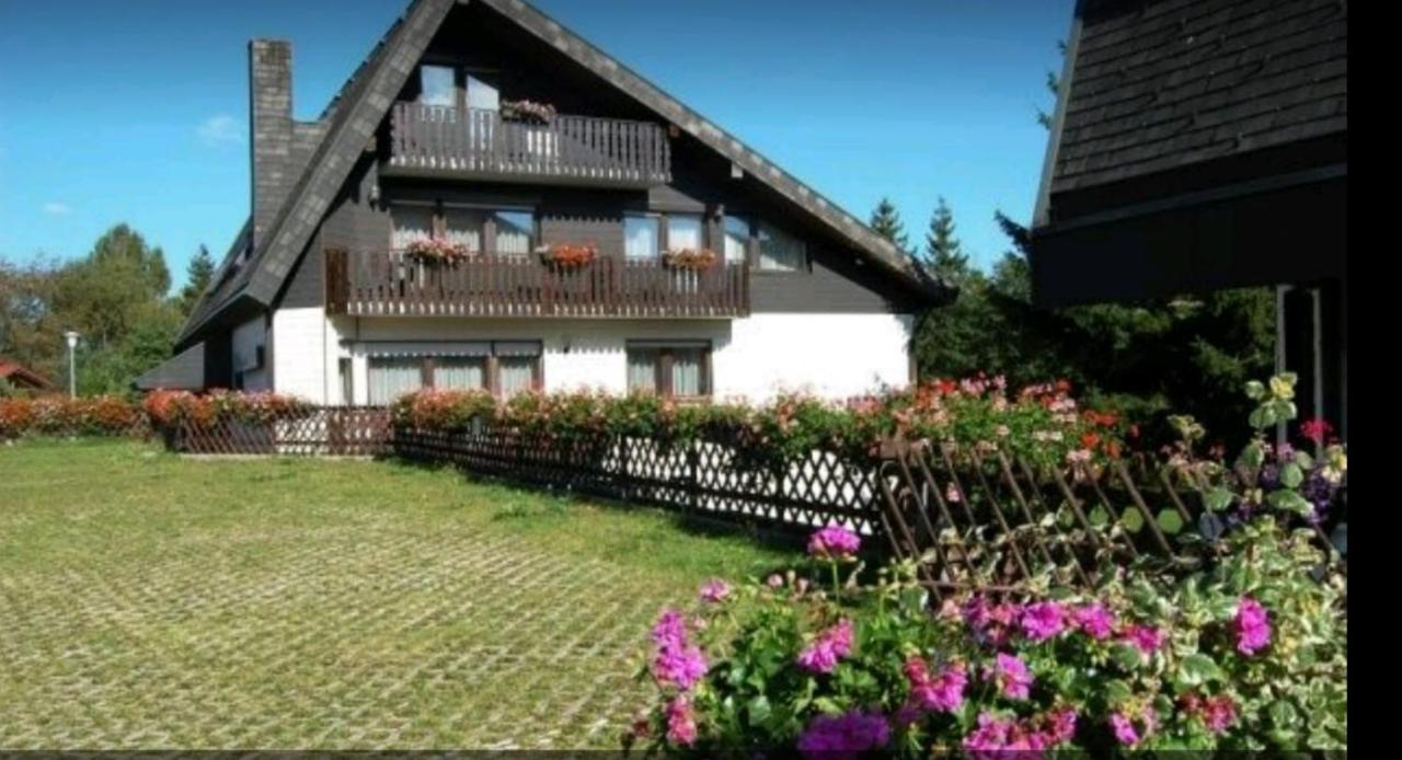 Ferienhaus-Schoenwald Im Herzen Des Schwarzwaldes 1Zimmer Wohnung Mit Terrasse App17 Exterior foto